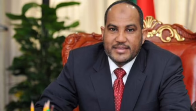 السفير عمر عيسي وزير للخارجية