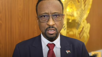 الإمارات تتهم الجيش السوداني بتهريب الأسلحة.. والخرطوم ترد