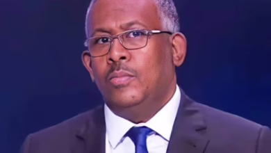 بابكر فيصل