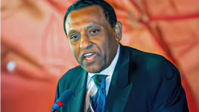 رئيس الوزراء السوداني كامل ادريس