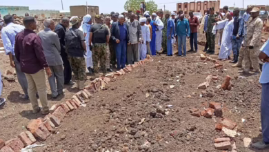 والي الجزيرة