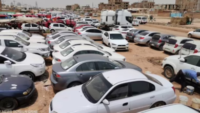 حصر 2850 سيارة منهوبة ومدمرة