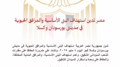 مصر تدين إستهداف البنى التحتية في مدينتى بورتسودان وكسلا