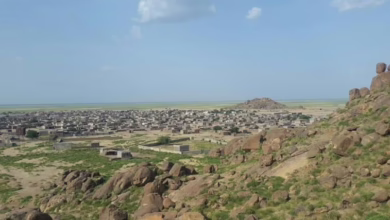 الكوليرا تتفشى في سنار.. 70 إصابة و5 وفيات خلال 5 أيام بسبب "المياه الملوثة"!