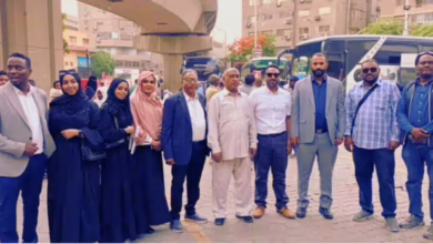 "أرض الخير" تنطلق من القاهرة.. المئات يعودون "طوعياً" إلى السودان بـ"دعم وطني" وفرحة غامرة!