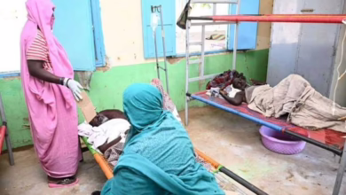 وفيات في جبل أولياء بسبب تفشي الكوليرا