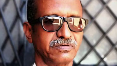 المجد للبنادق