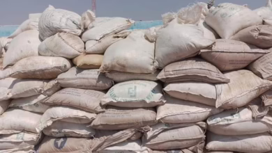 سكر فاسد بأسواق حلفا الجديدة والاتهامات تطال مدير المواصفات