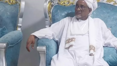 المهندس إبراهيم محمود