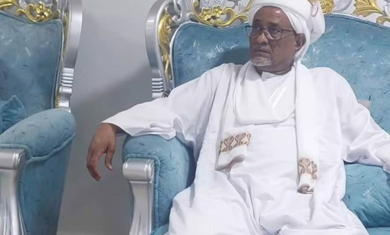 إبراهيم محمود يدلى بتصريحات جديدة ويتحدث عن تنفيذ استراتيجية خارجية 1 المهندس إبراهيم محمود