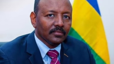 تحالف صمود يتهم وزارة الخارجية بإفشال جهود وقف الحرب في السودان