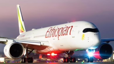 الأمن الجوي