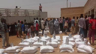 كارثة وشيكة في كردفان: مئات الآلاف يواجهون الموت جوعًا وعطشًا!