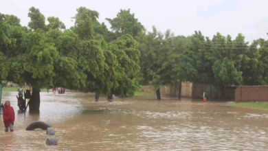وزارة الري