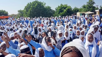 طلاب سودانيون يستعدون لاعتماد الشهادة السودانية المؤجلة 2023 في المستشارية الثقافية بالسفارة السودانية بالقاهرة