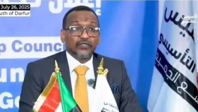 حكومة موازية