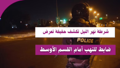 شرطة نهر النيل