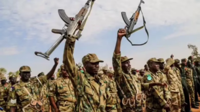 قذائف دون انفجار! ماذا حدث فجر الأربعاء في الدلنج؟