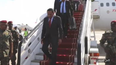 د. كامل إدريس