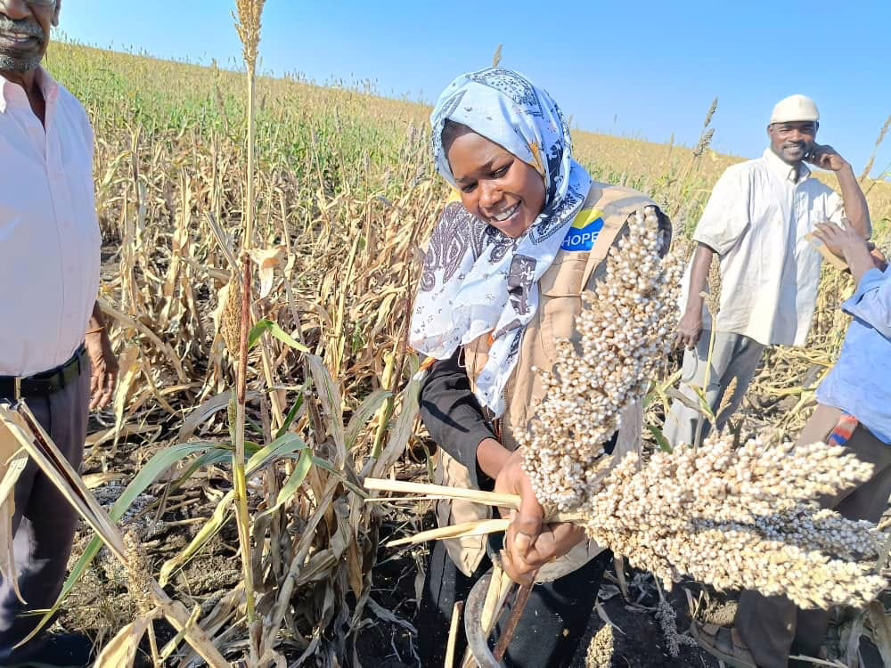 القضارف على حافة المجاعة