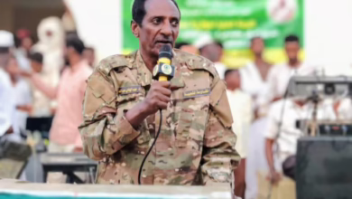 المقاومة الشعبية