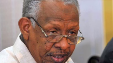 نافع علي نافع