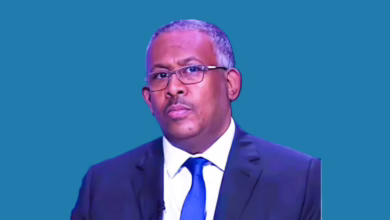 بابكر فيصل