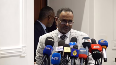 وكيل وزارة الصحة السودانية
