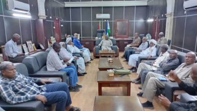 والي الجزيرة