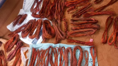 عربة هايس