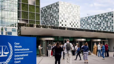 الجنائية الدولية