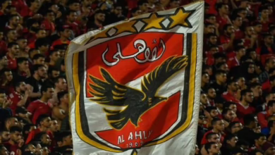 جمهور الأهلي المصري