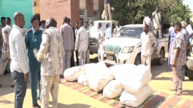 ضبط كمية كبيرة من المخدرات بكسلا