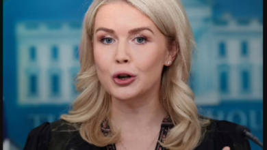 البيت الابيض