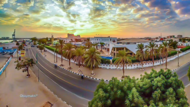 تحذيرات من كارثة صحية تهدد ولاية البحر الأحمر