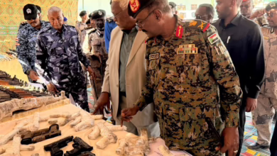 ضبط كميات من الأسلحة