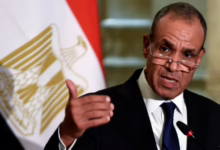 وزير الخارجية المصري