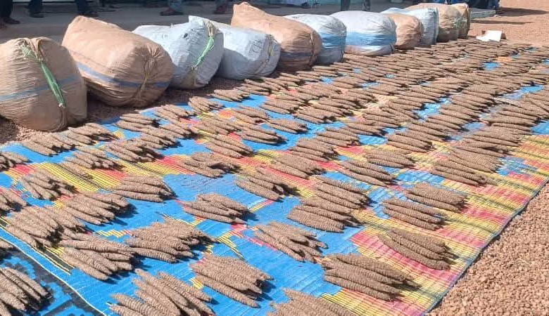 إحباط تهريب كميات كبيرة من المخدرات والمواد الخطرة بنهر النيل