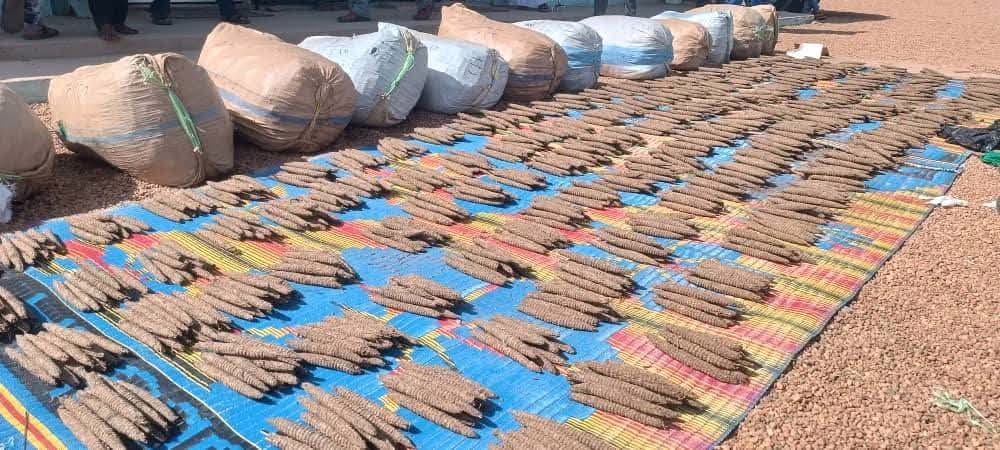 إحباط تهريب كميات كبيرة من المخدرات والمواد الخطرة بنهر النيل