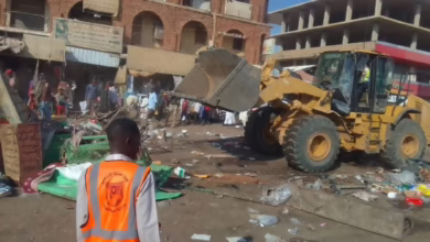 جهاز حماية الأراضي