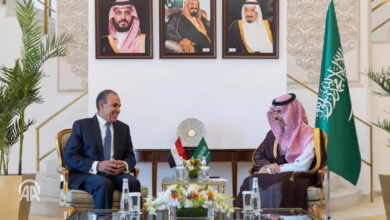 وزيرا خارجية السعودية ومصر