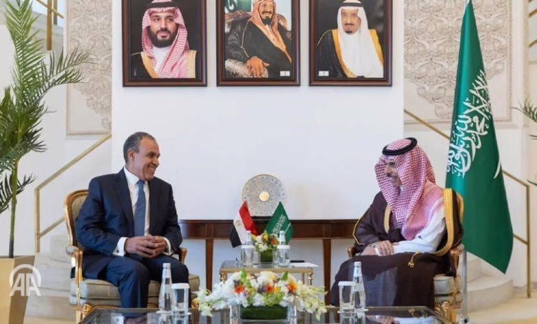 وزيرا خارجية السعودية ومصر