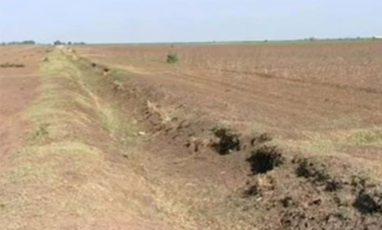 العطش يهدد أكبر مشروع زراعي بالسودان