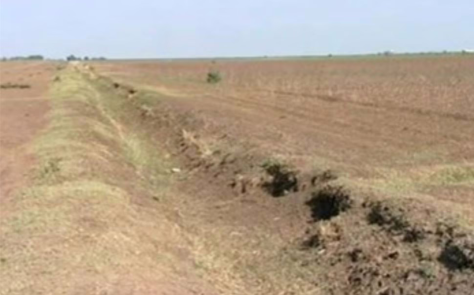 العطش يهدد أكبر مشروع زراعي بالسودان