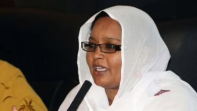 د. ناهد محمد الحسن