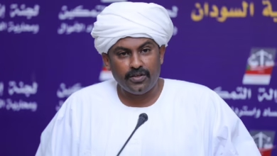 محمد الفكي سليمان