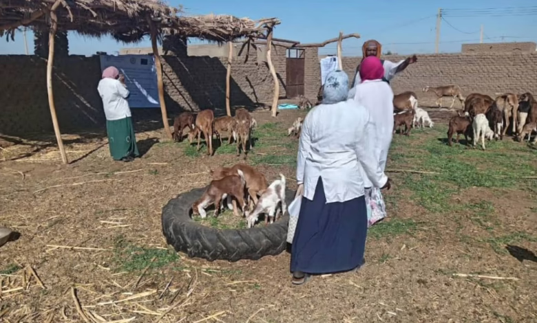 الثروة الحيوانية