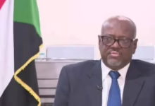 القنصل السوداني