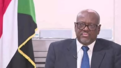 القنصل السوداني