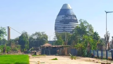 أعمال تأهيل حدائق الإسكلا بشارع النيل